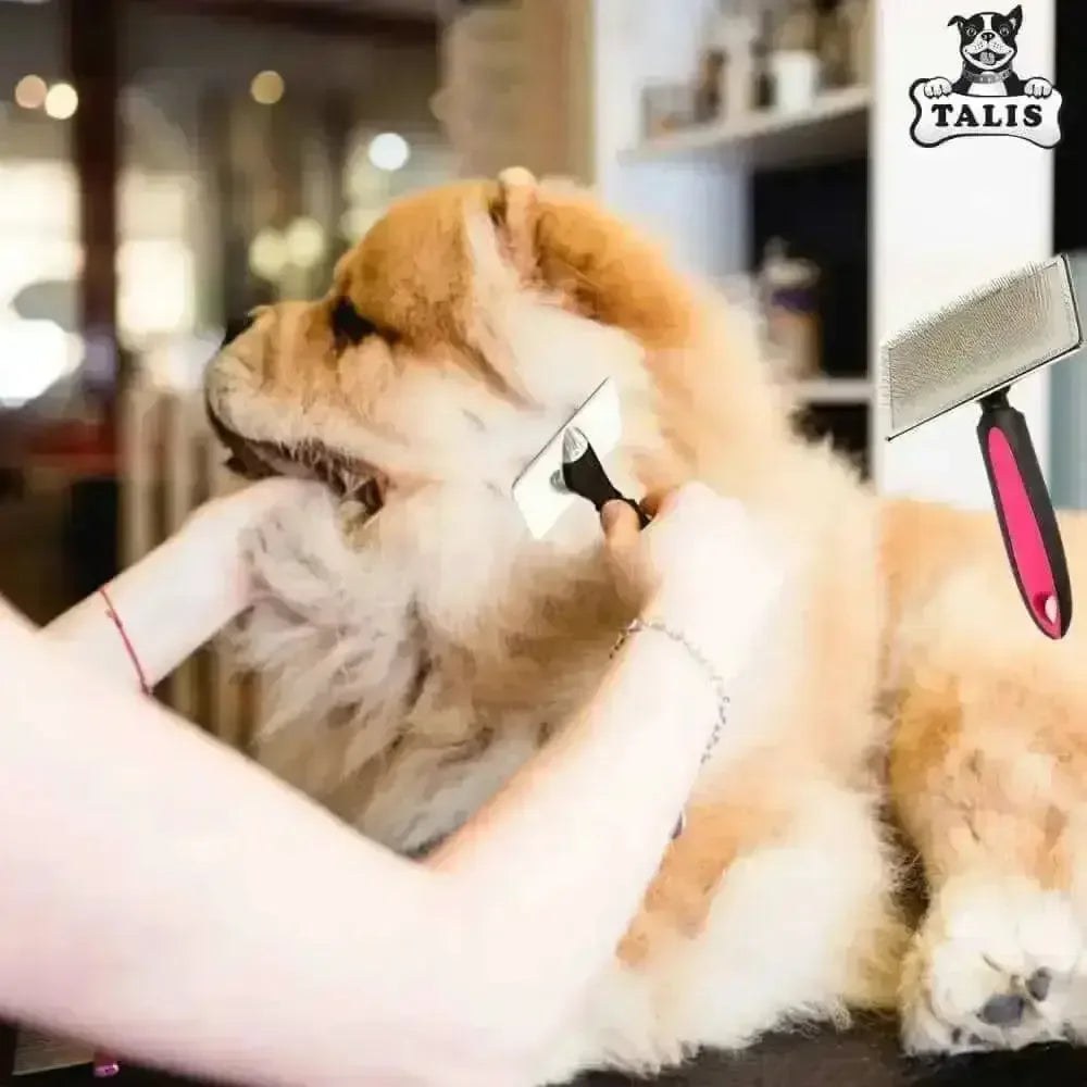 A person brushes a fluffy Chow Chow with the Talis Us Pet Grooming Brush for Shedding with Comfortable Grip at a salon. Another Talis Us brush with a red handle and the Talis logo appears in the upper right corner.