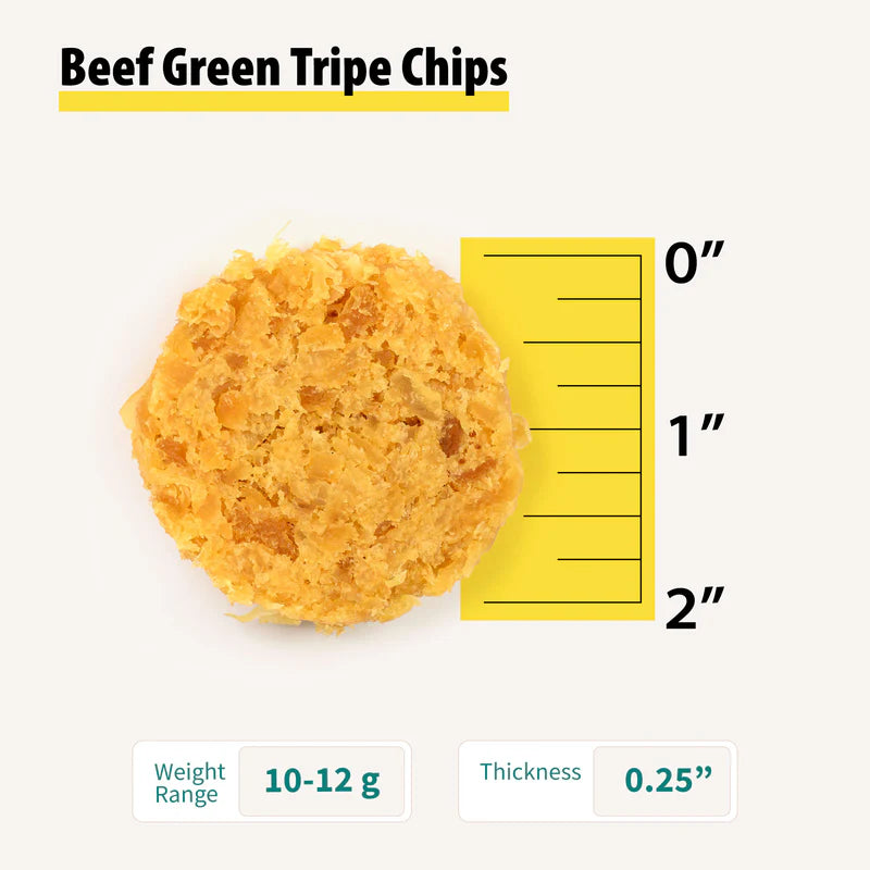 Round textured green tripe dog treat chip placed next to a ruler showing its size and thickness details