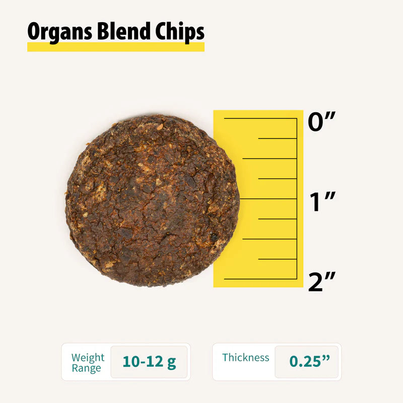 Close-up of a round dark brown dog treat chip next to a ruler showing size and thickness details