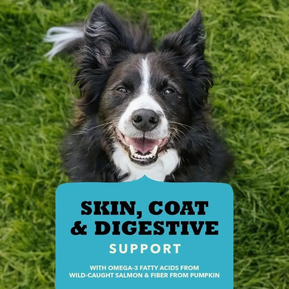 Acana Chewy Strips Skin Coat & Digestive Support Dog Treat 4 oz - Talis Us