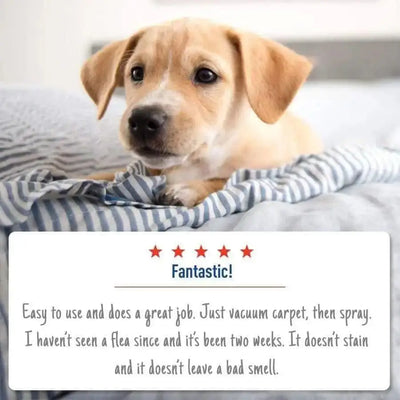 Adams Flea & Tick Carpet & Home Spray 16 oz Adams CPD