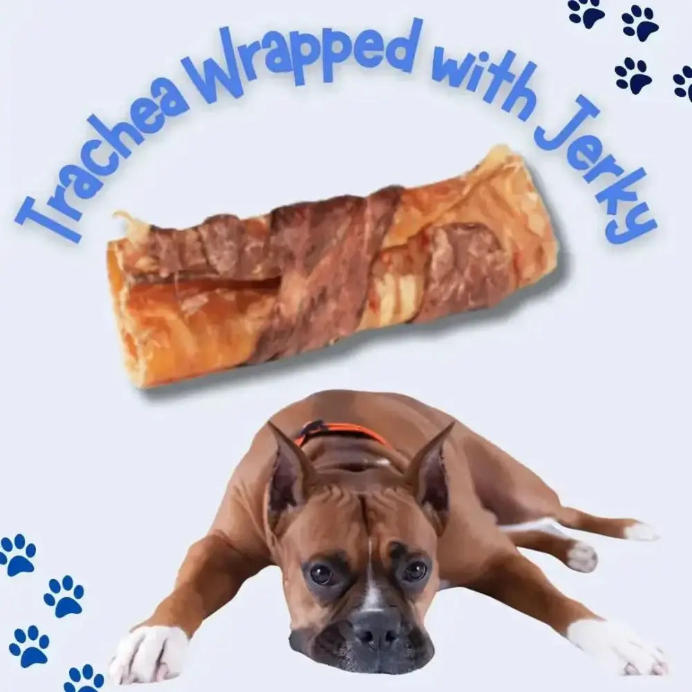 All Natural Water Buffalo Trachea Wrapped Jerky Treat for Dogs - Talis Us