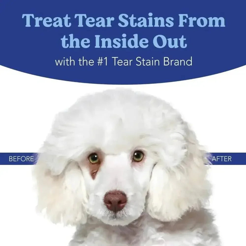Angels' Eyes Natural Plus Sweet Potato Powder Supplement for Dogs 75g - Talis Us