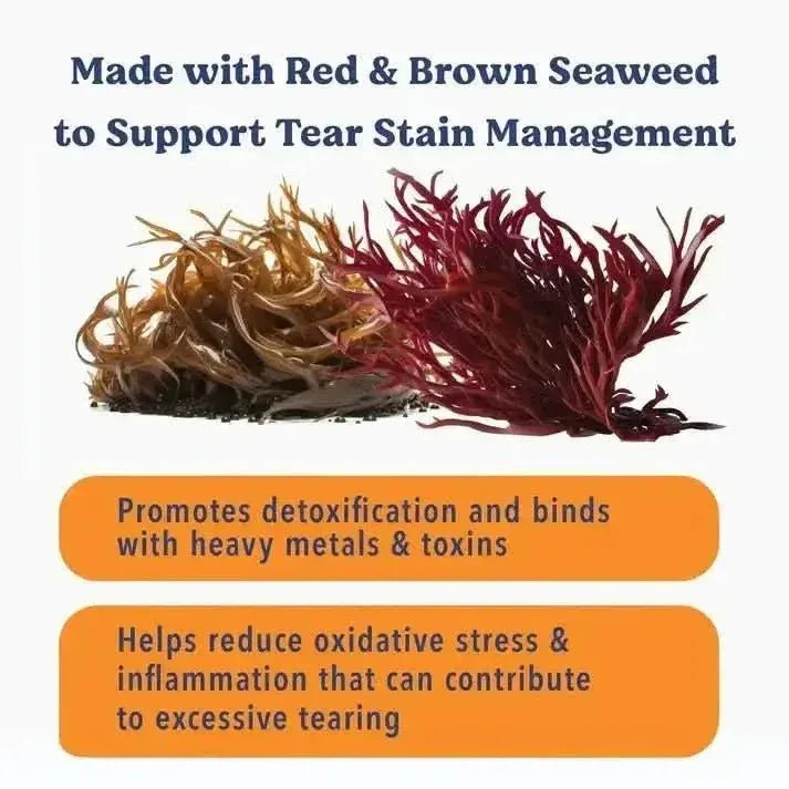 Angels' Eyes Sea Sticks Tear Stain Friendly Dog Treats - Talis Us