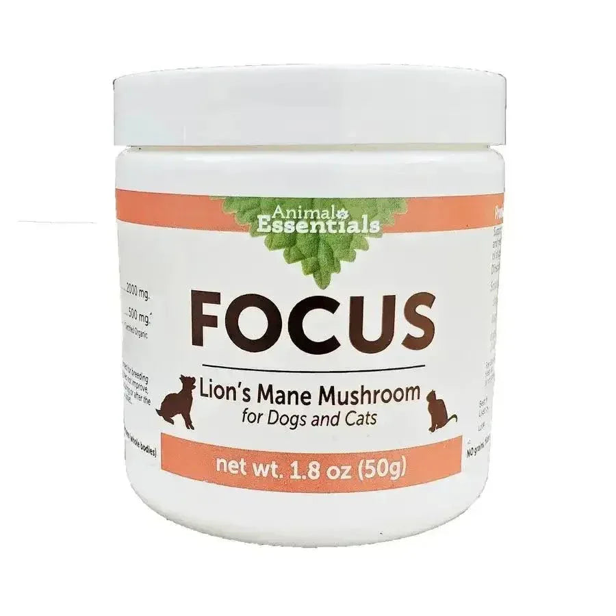 Animal Essentials Focus Lions Mane Cat & Dog Vitamin Supplement 80g - Talis Us