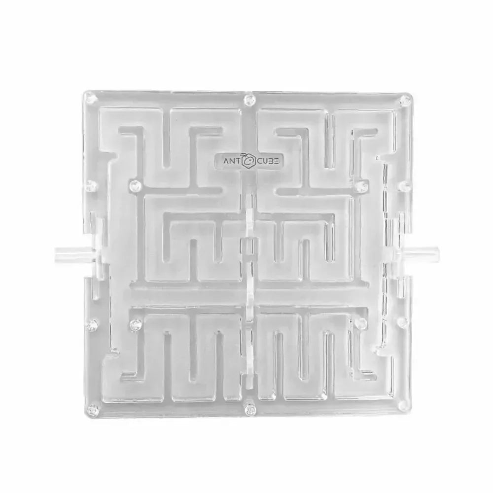 Ant Maze 20×20 - Talis Us
