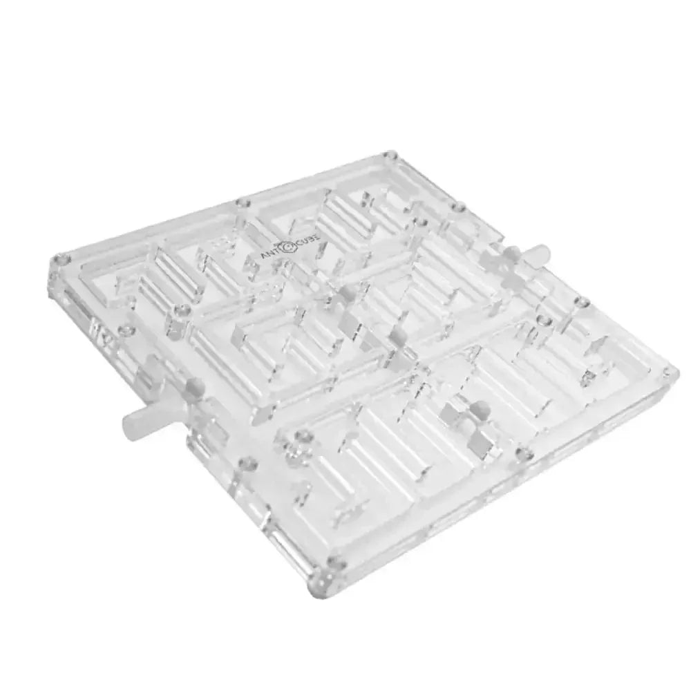 Ant Maze 20×20 - Talis Us