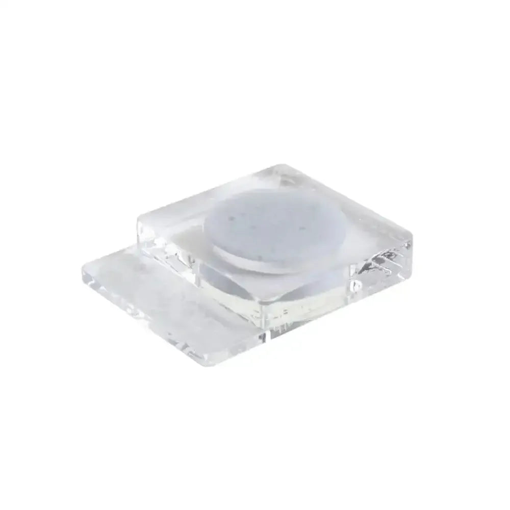AntsDish Clear 1x20 - sponge Antcube