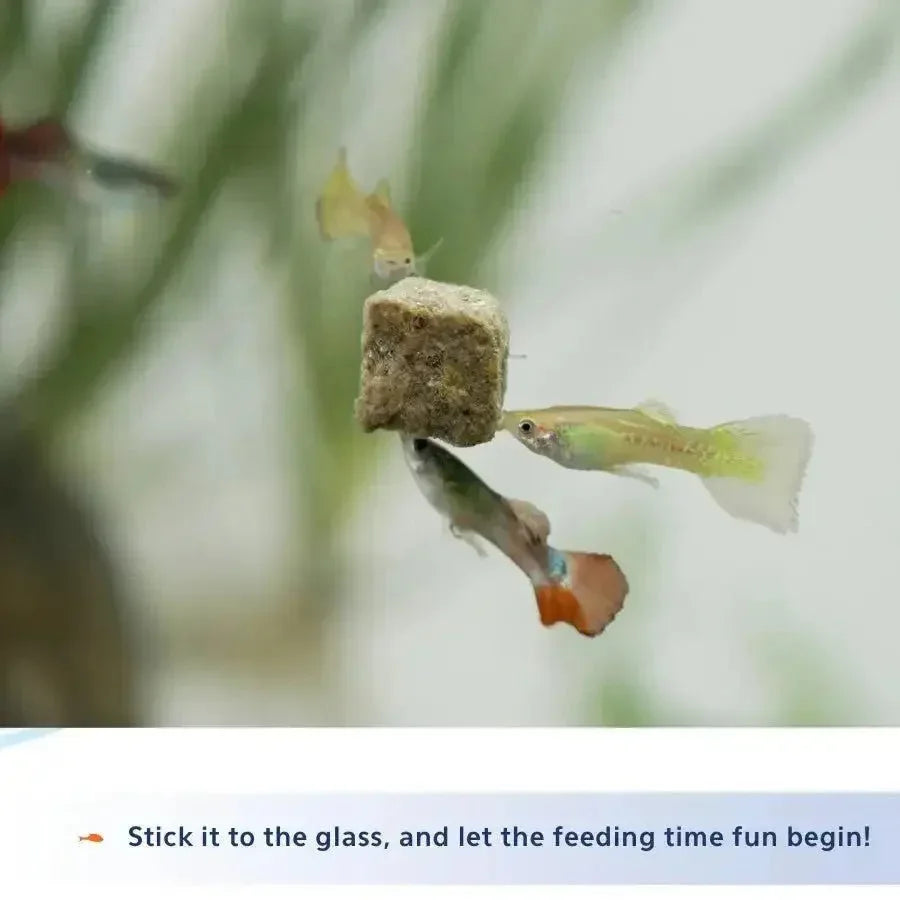 Aqueon Stick'ems Freeze - Dried Fish Food - Talis Us