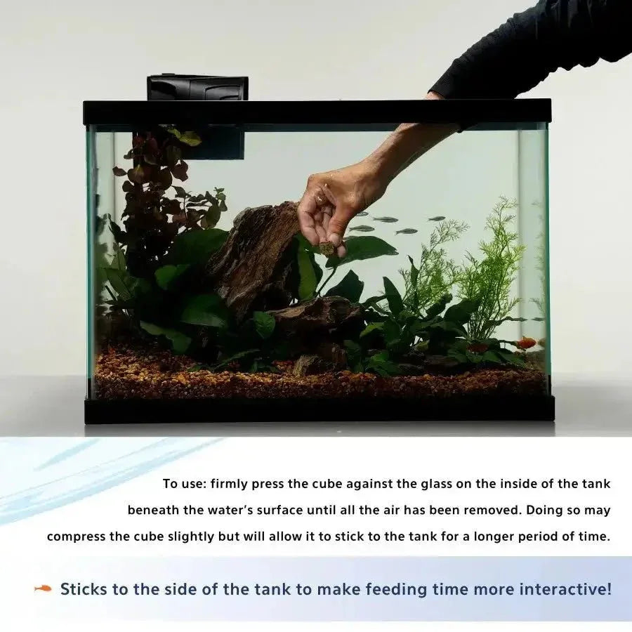 Aqueon Stick'ems Freeze - Dried Fish Food - Talis Us