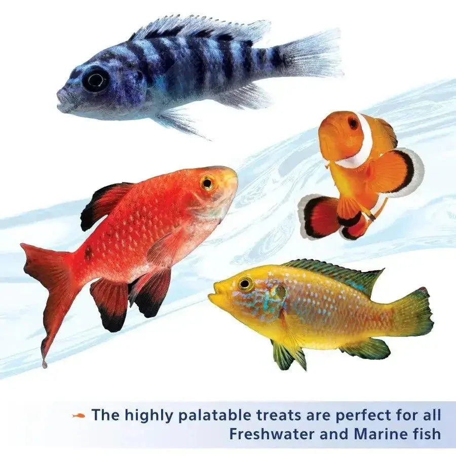 Aqueon Stick'ems Freeze - Dried Fish Food - Talis Us