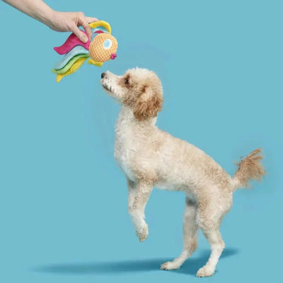 BARK Ahi Tina Plush Dog Toy - Talis Us