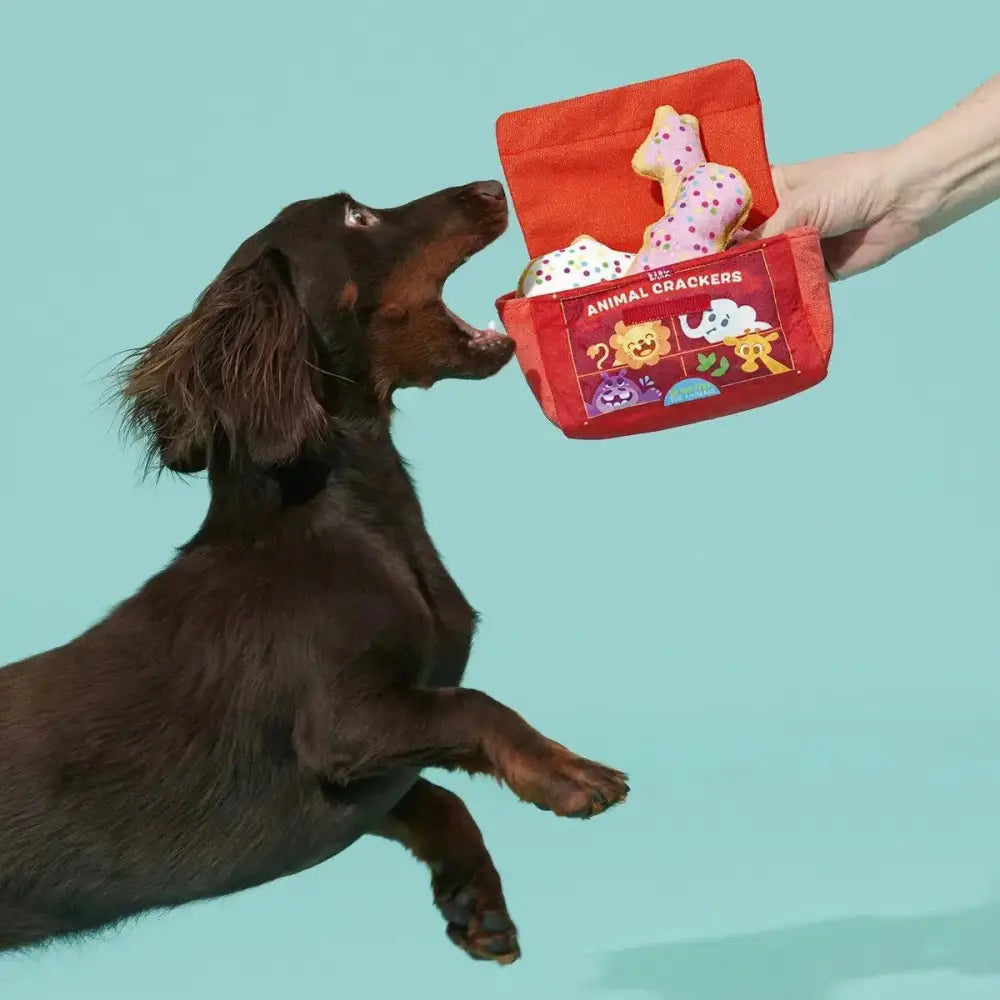 BARK Animal Squeakers Snacks Plush Dog Toy - Talis Us