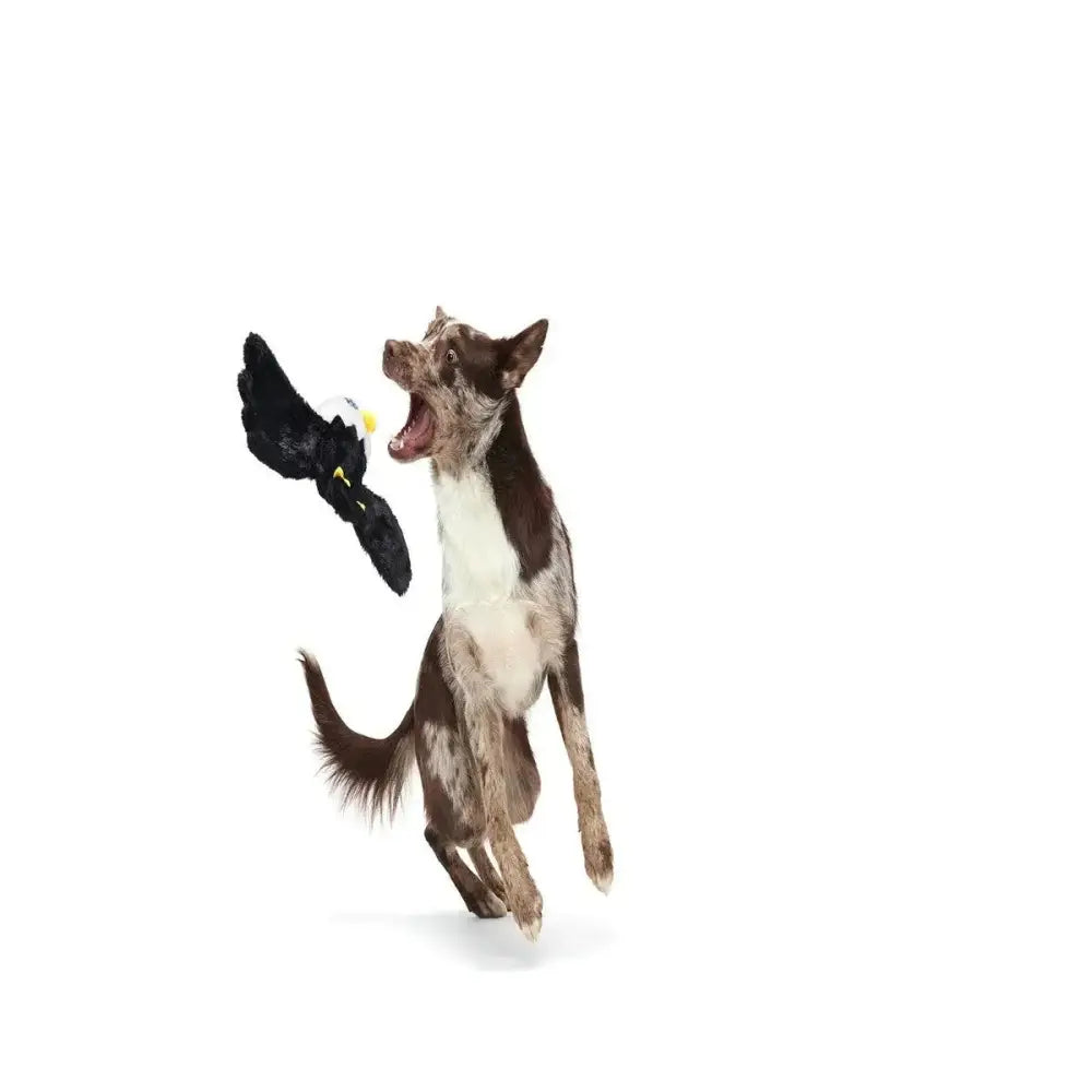 BARK Bold Eagle Fourth Of July American Plush Dog Toy - Talis Us