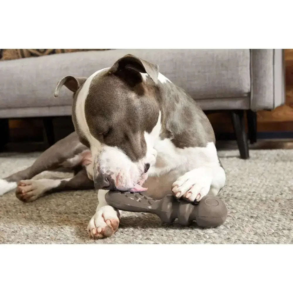 BARK Buck Wild Super Chewer Dog Toys - Talis Us