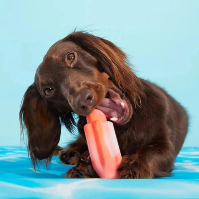 BARK Cherry Blasto Pop Dog Chew Toy - Talis Us