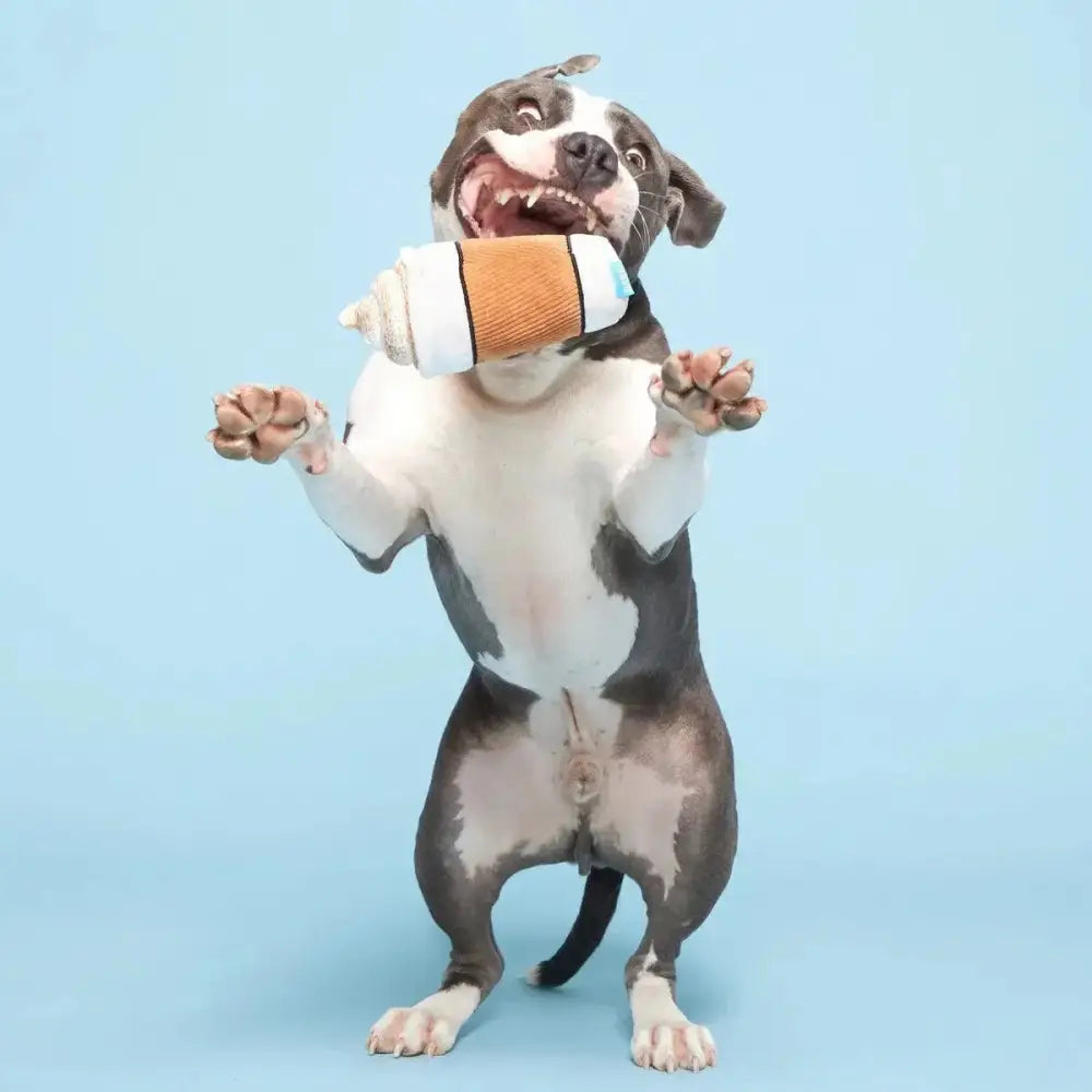 BARK Cup Of Bark Roast Plush Dog Toy - Talis Us