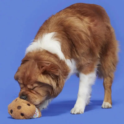 BARK Funfetchi Sniffwich Plush Dog Toy - Talis Us