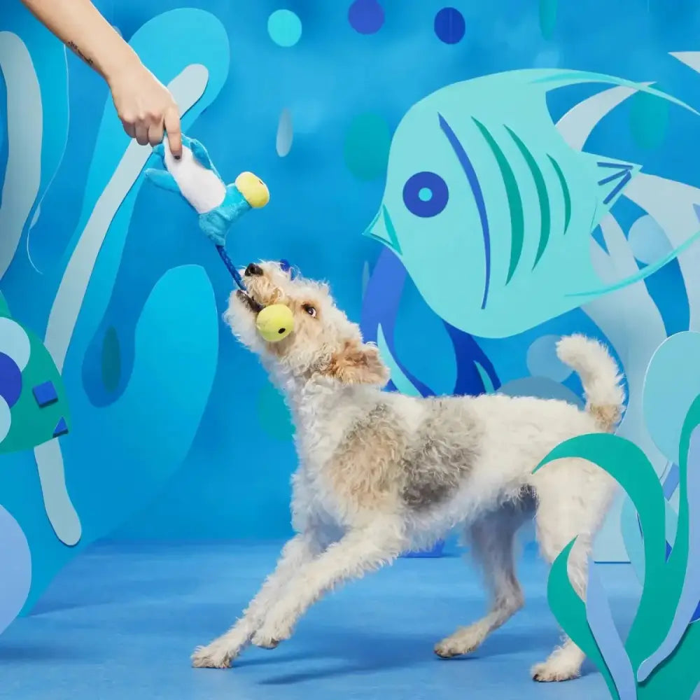 BARK Hammerin' Hank the Shark Dog Toys - Talis Us