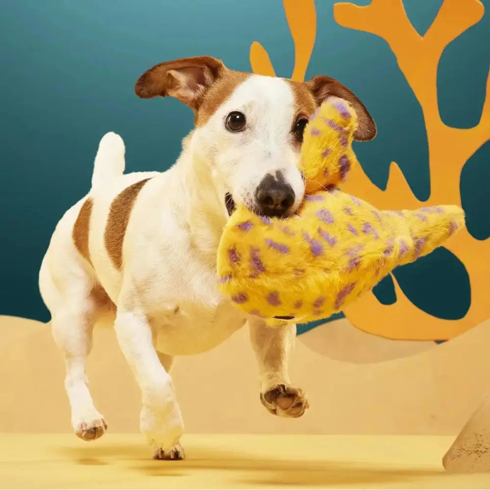 BARK Leopold Leopard Shark Multi - Part Squeaky Plush Dog Toy - Talis Us