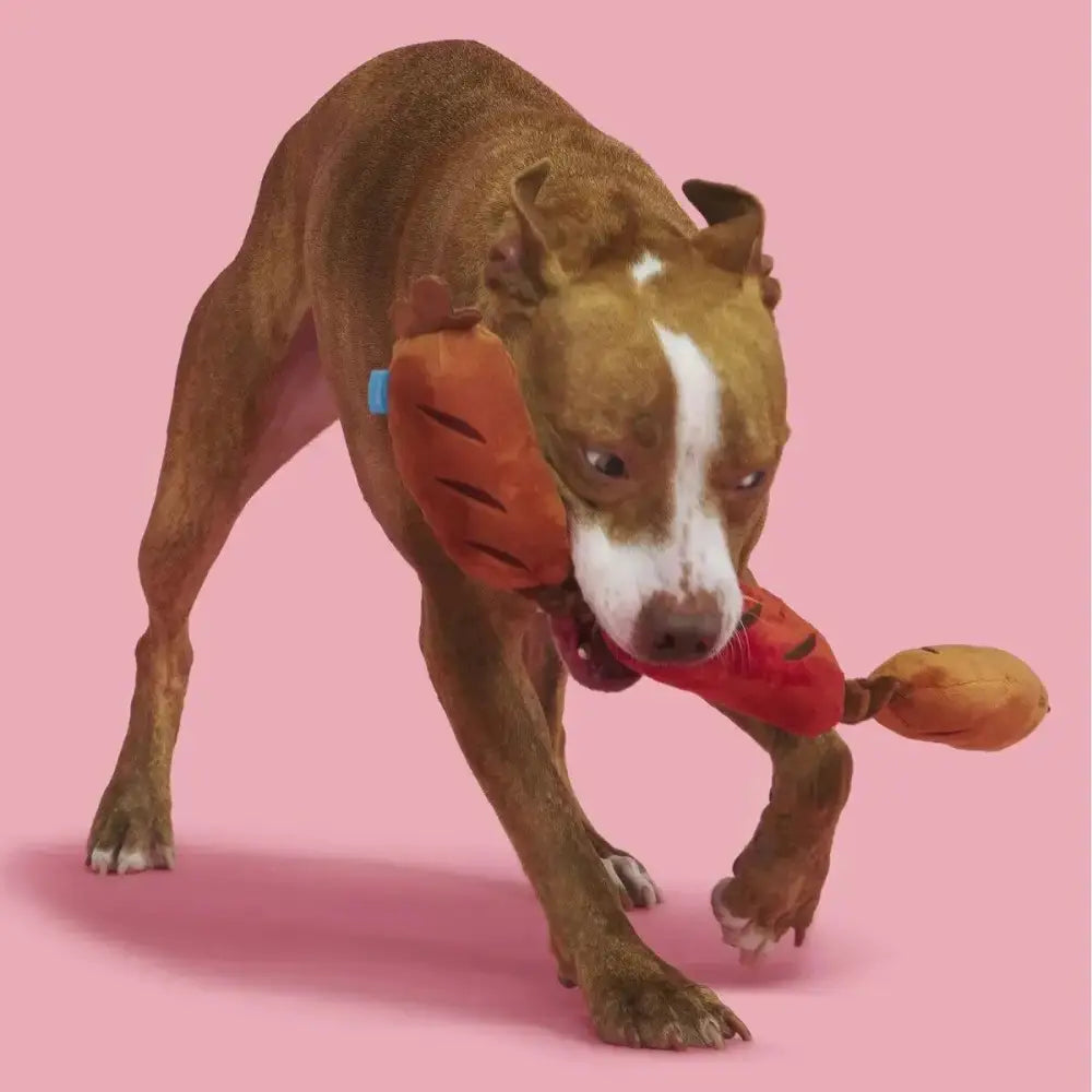 BARK Lickin' Links Plush Dog Toy - Talis Us