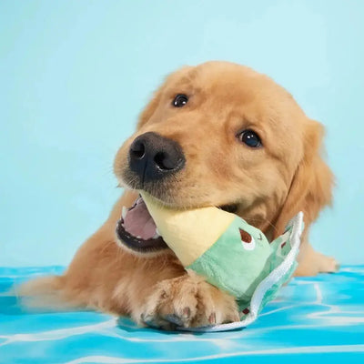 BARK Melty Minty Monty Dog Plush Toy - Talis Us