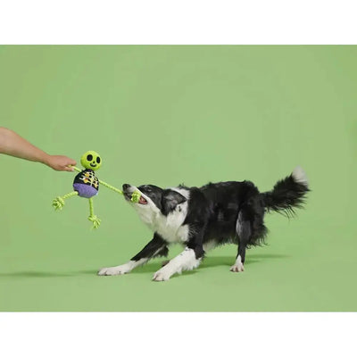 BARK Moldy Barry Bones Plush Dog Toy Small/Medium - Talis Us