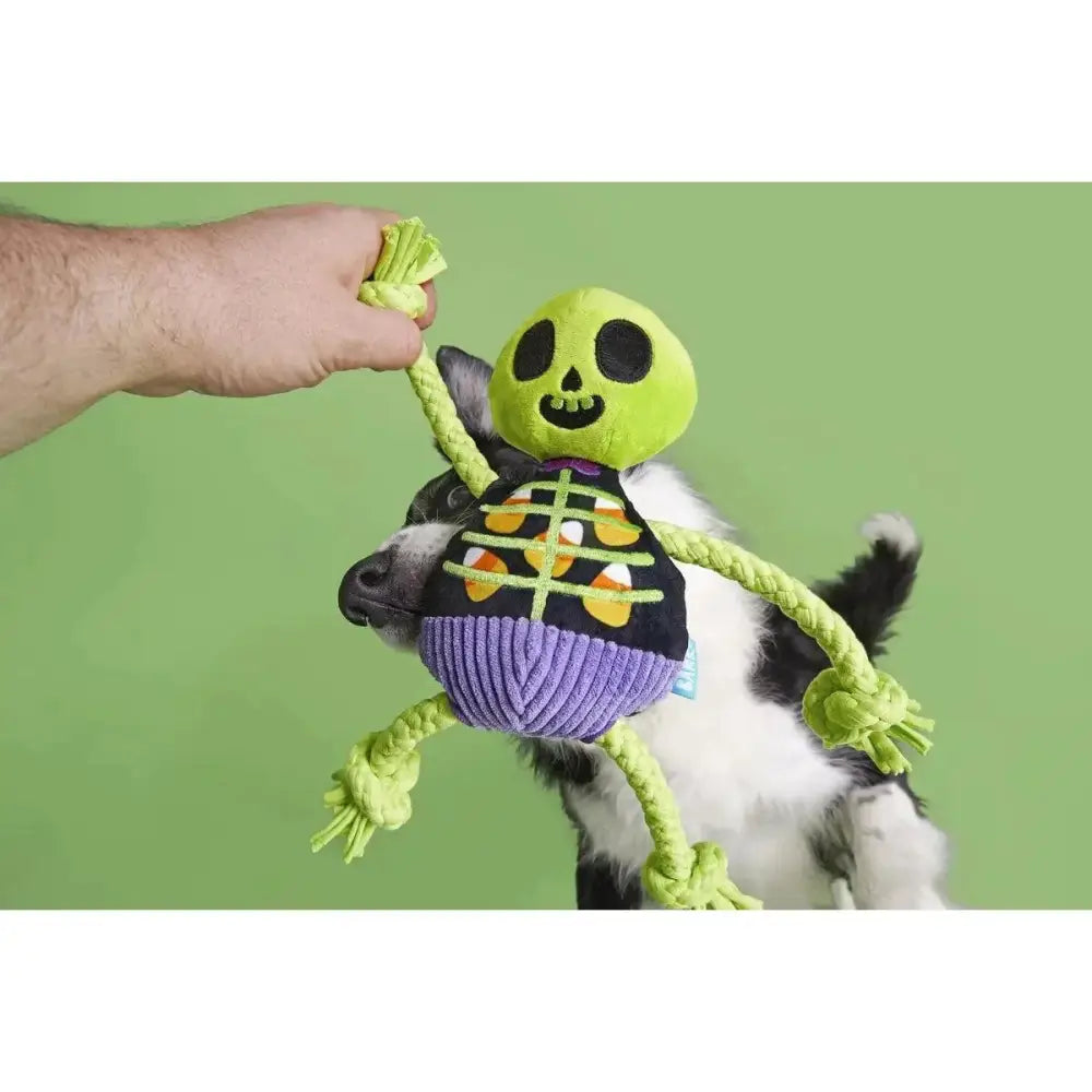 BARK Moldy Barry Bones Plush Dog Toy Small/Medium - Talis Us