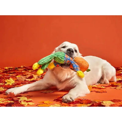 BARK Ol' Pumpkin Patches Plush Dog Toy Small - Talis Us