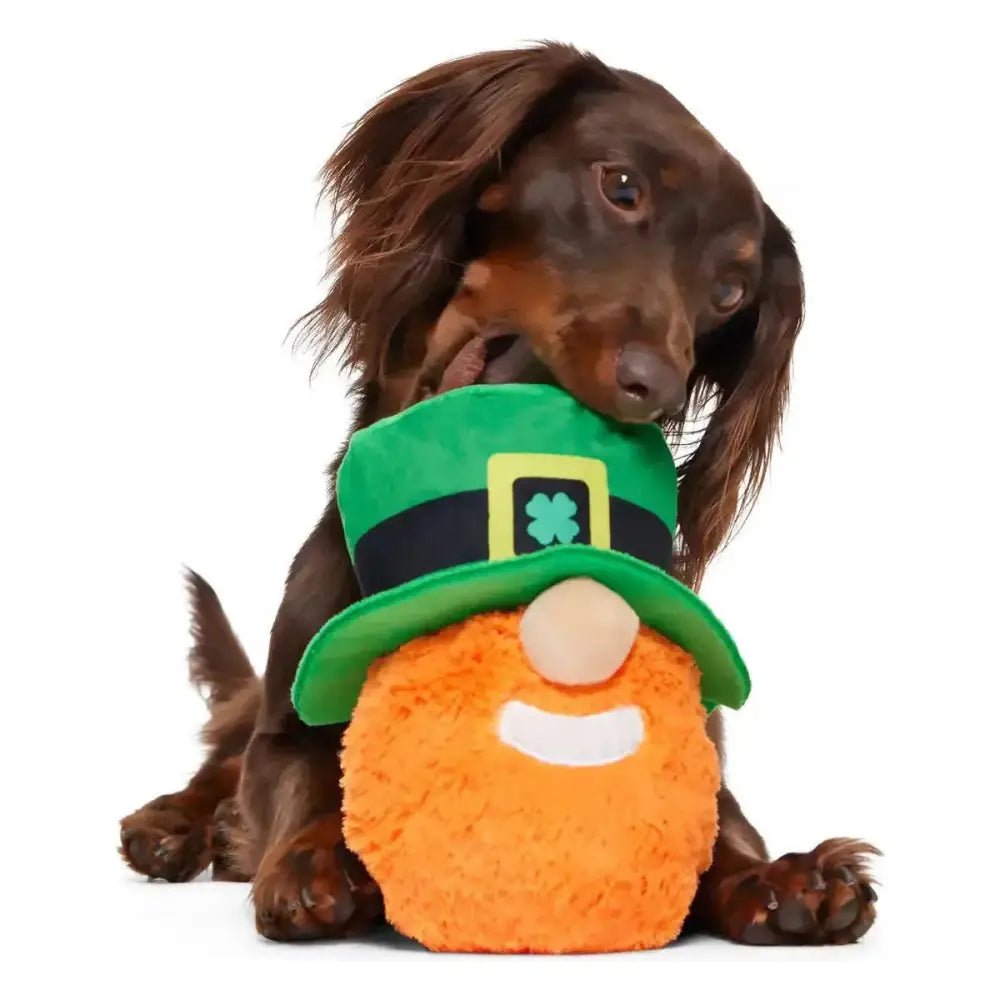BARK Paddy O'Belly St. Patrick's Day Dog Toy - Talis Us