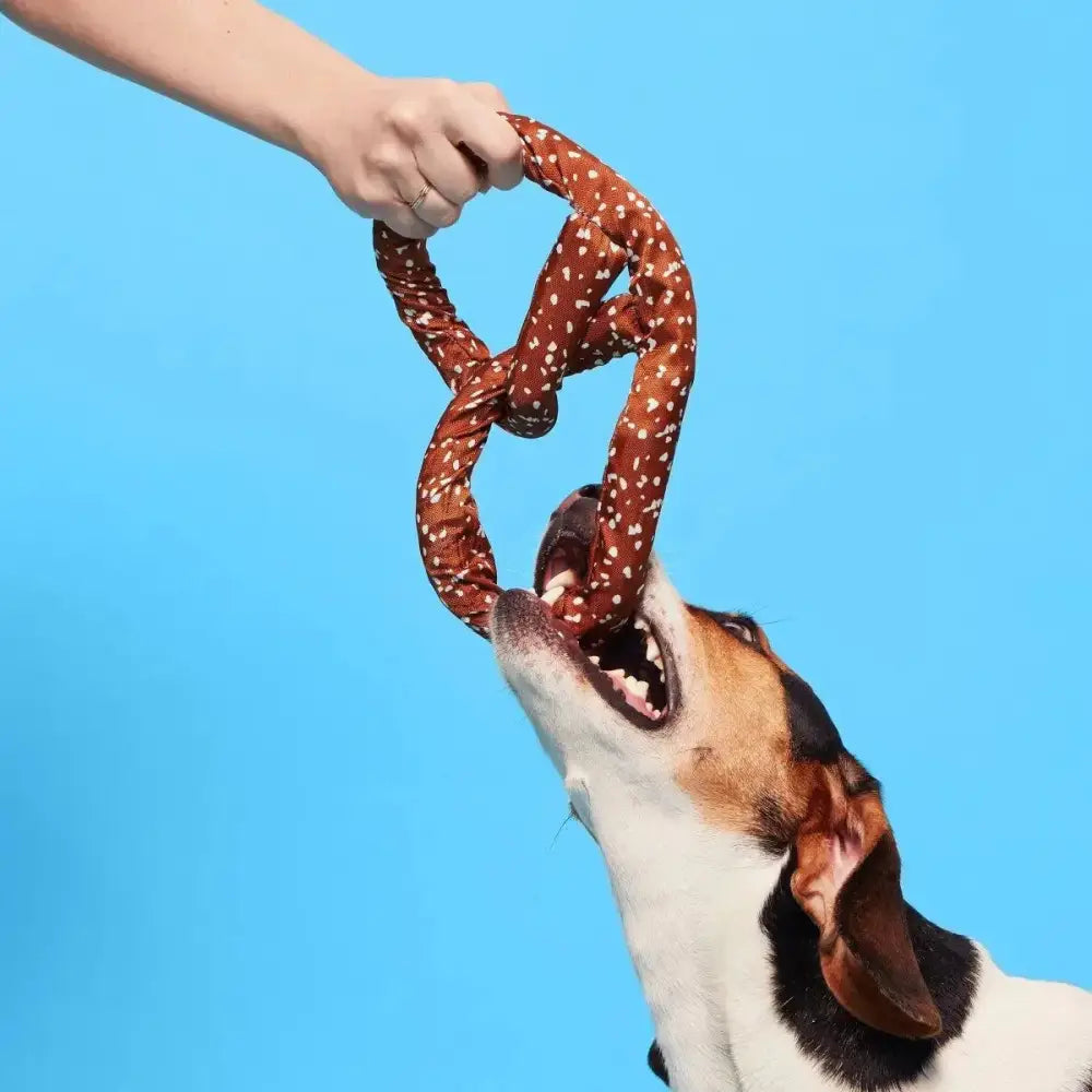 BARK Paula's Park Slope Pretzel Plush Dog Toy - Talis Us