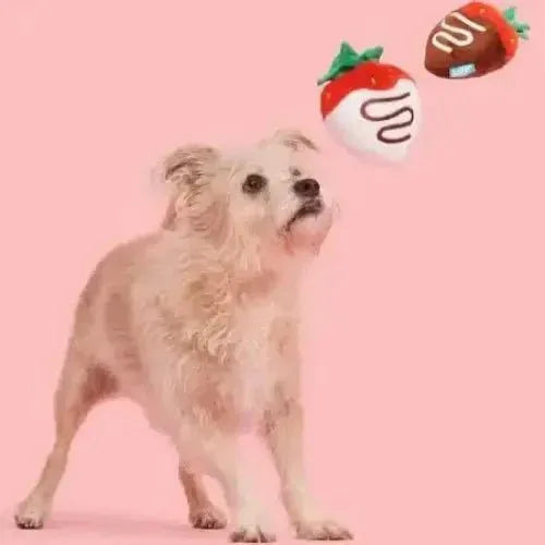 BARK Plush Strawberry Dog Toy for Fun Playtime - Talis Us