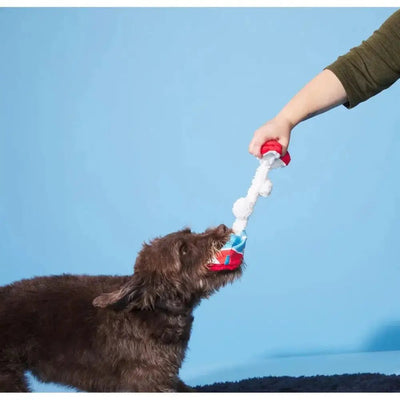 BARK Poopies & Cream Pint Dog Toys - Talis Us