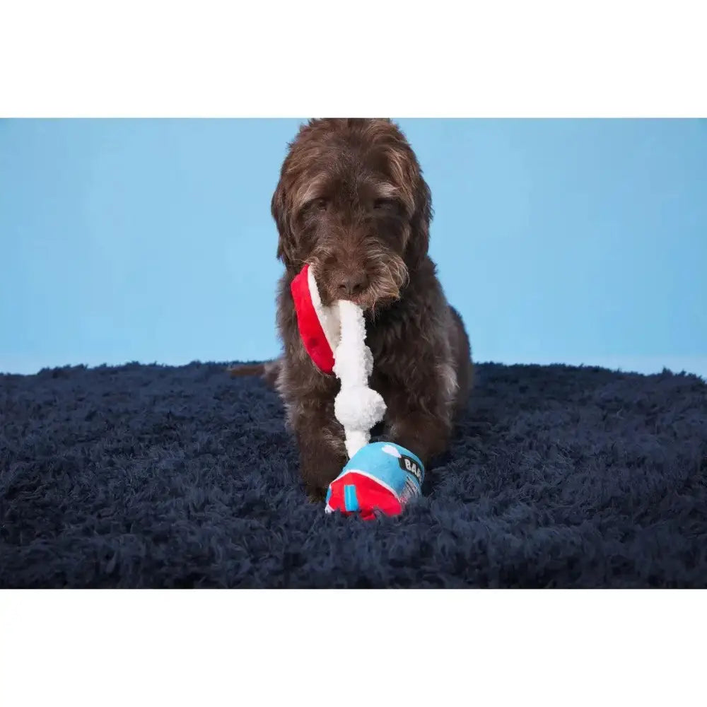 BARK Poopies & Cream Pint Dog Toys - Talis Us