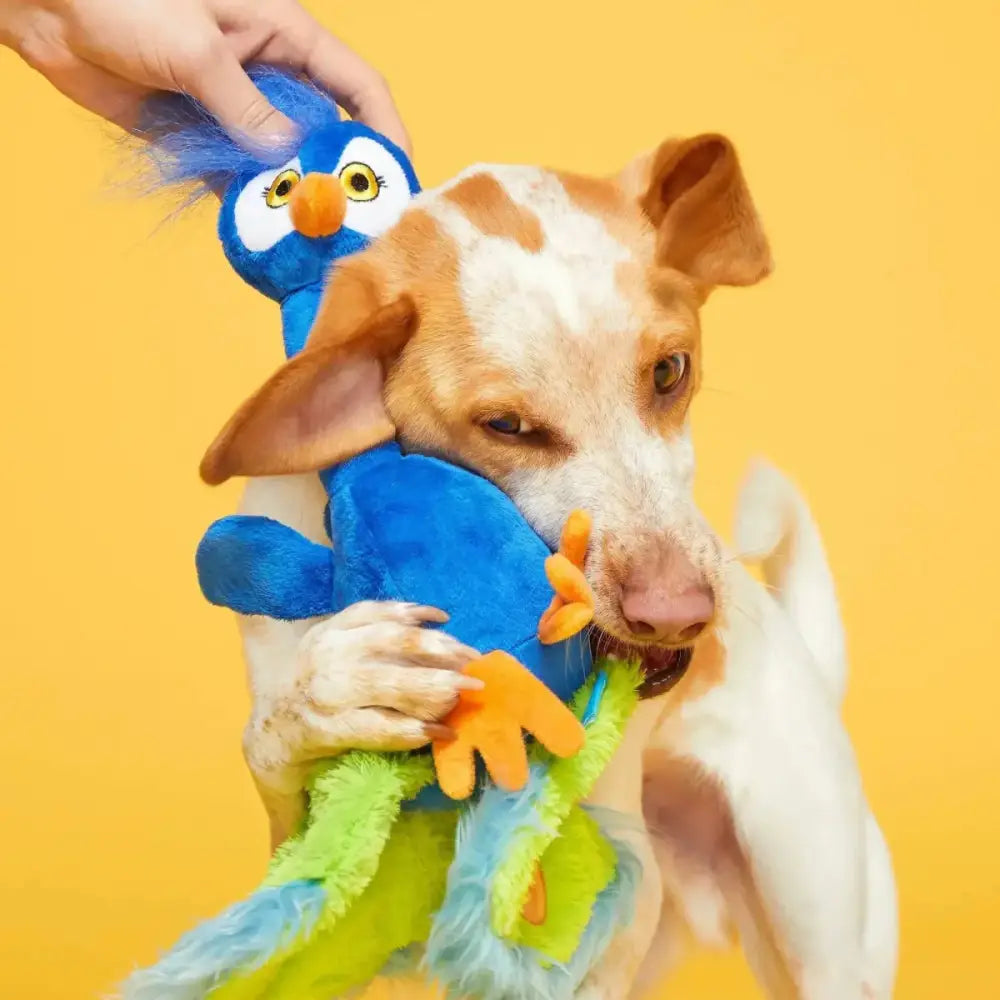 BARK Pop Peacock Dog Toys - Talis Us
