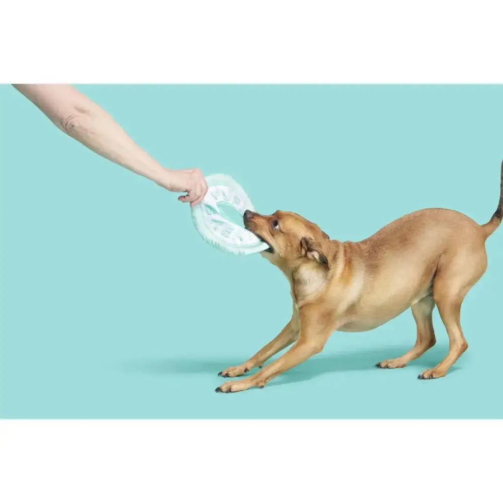 BARK Puppy Breath Mint Dog Toys - Talis Us