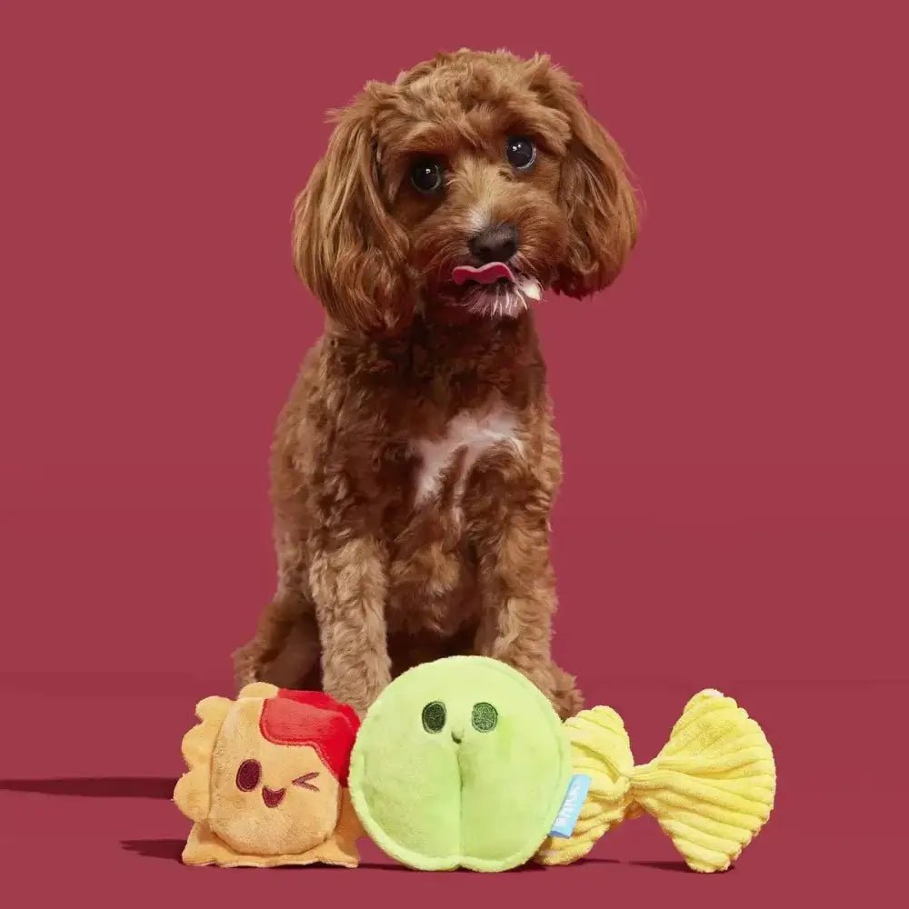 BARK Ravioli Homies Plush Dog Toy - Talis Us