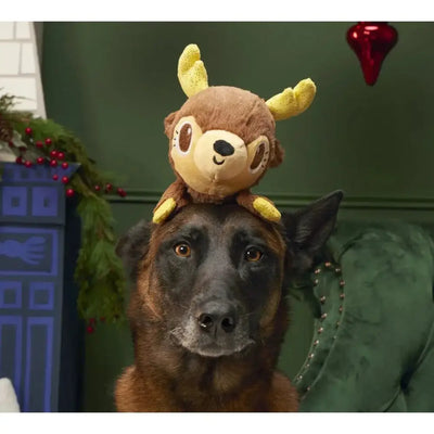 BARK Splootdolph Plush Dog Toy - Talis Us