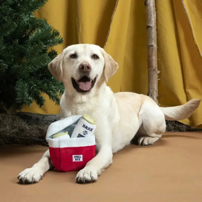 BARK Sub - Zero Camping Hero Plush Dog Toy - Talis Us