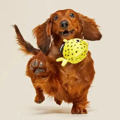 BARK Super Chewer Blowfetch Dog Chew Toy - Talis Us