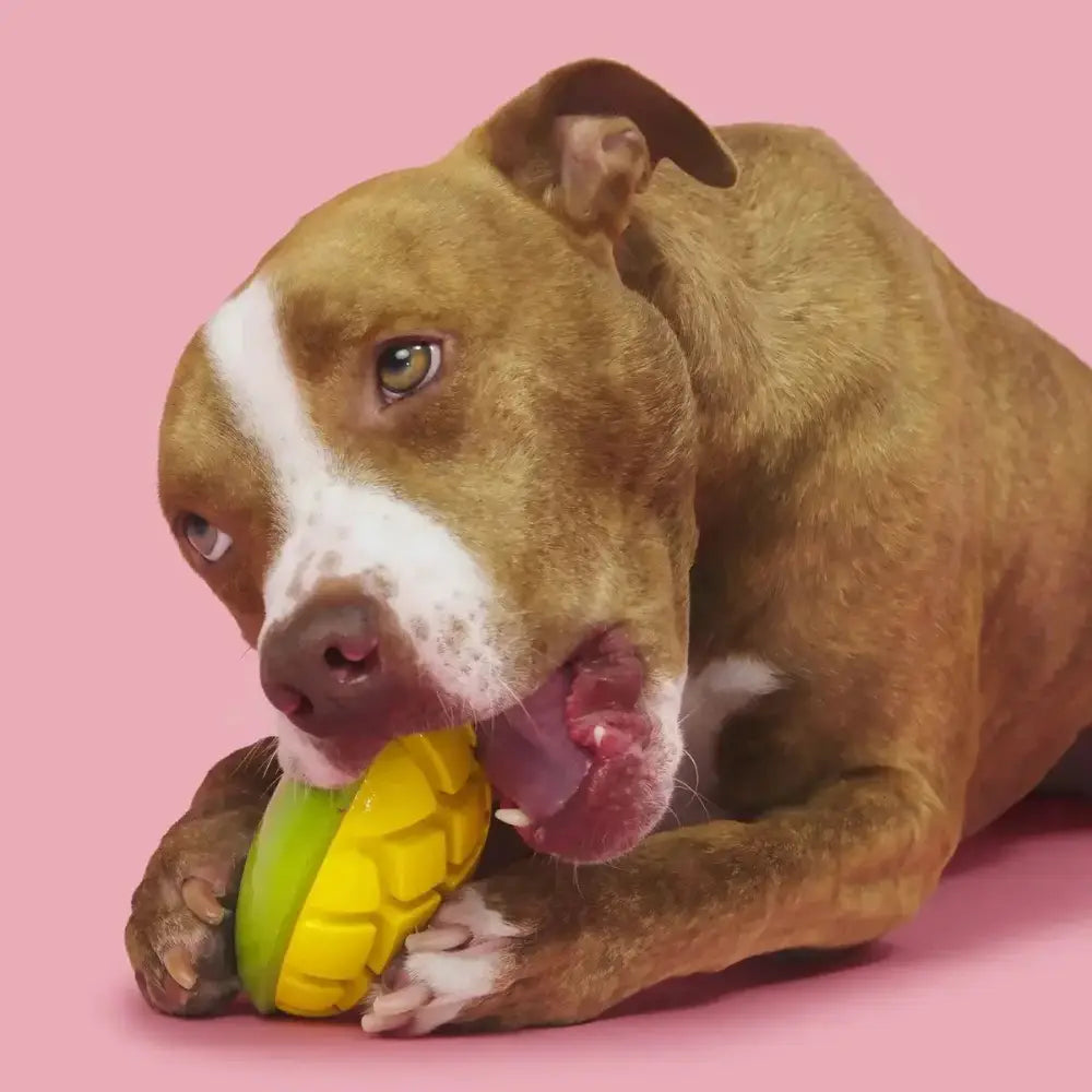 BARK Super Chewer Go Mango Dog Chew Toy - Talis Us