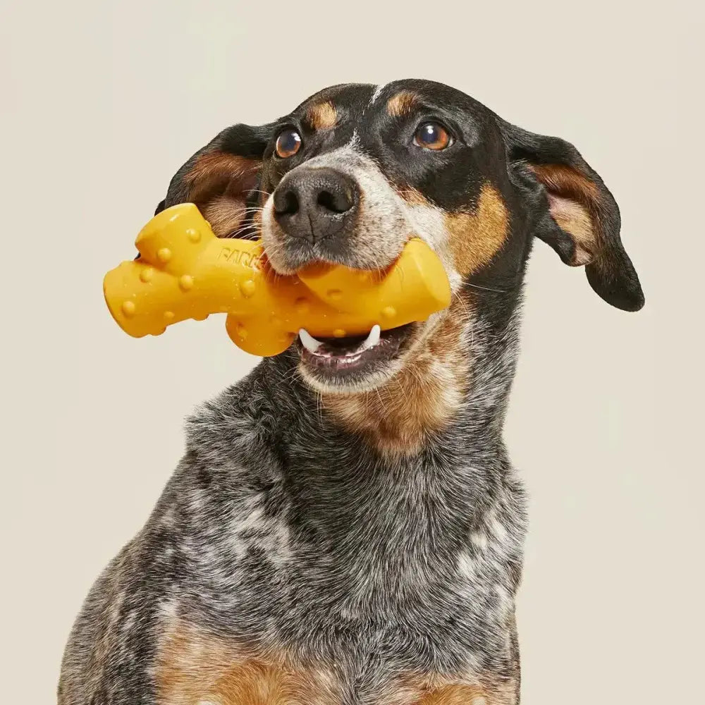 BARK Super Chewer Reef Teefer Dog Chew Toy - Talis Us