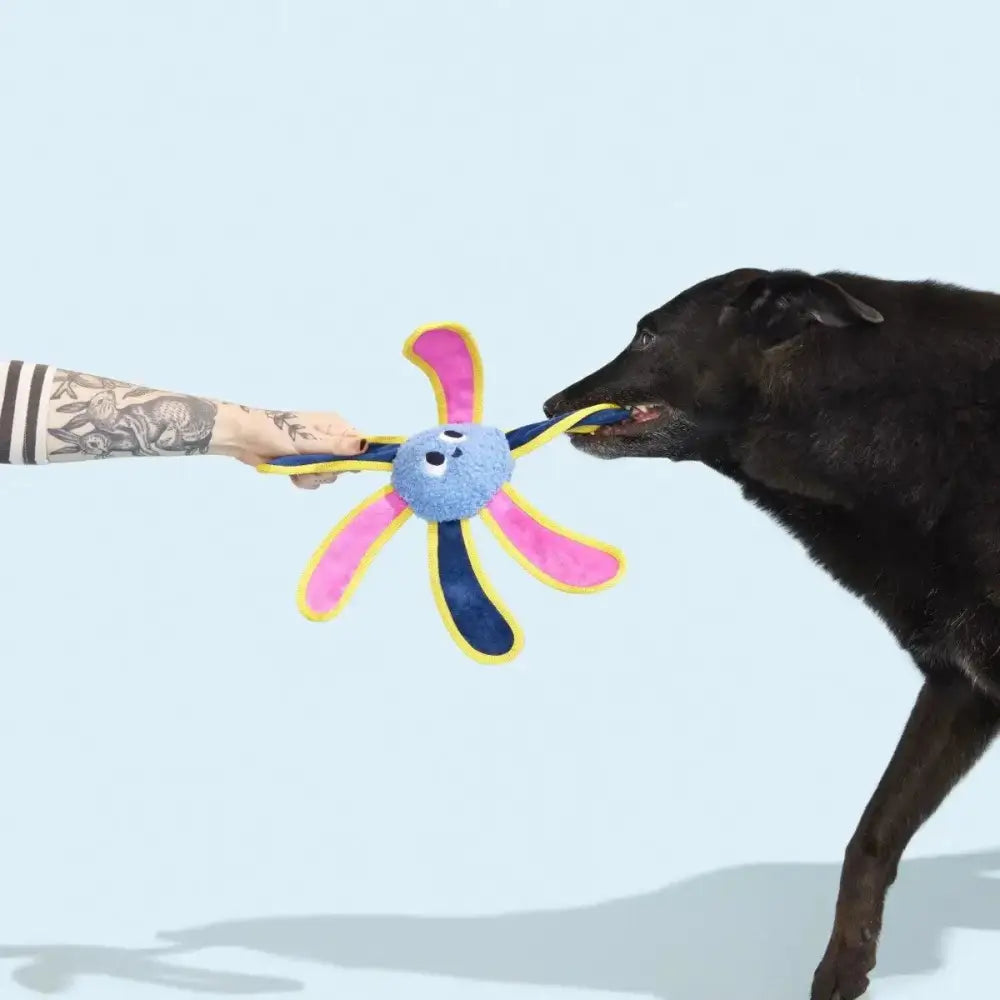 BARK Twirdle Plush Dog Toy - Talis Us