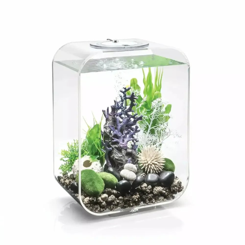 biOrb LIFE 15 Aquarium with MCR Light 4 gallon - Talis Us