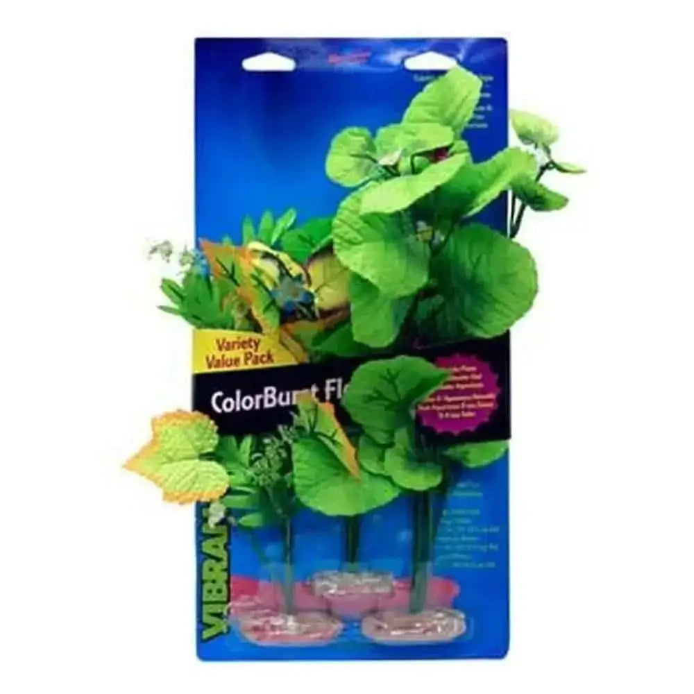 Blue Ribbon Colorburst Florals Broad Leaf Flower Cluster Variety Pack 3 Plants Blue Ribbon Pet