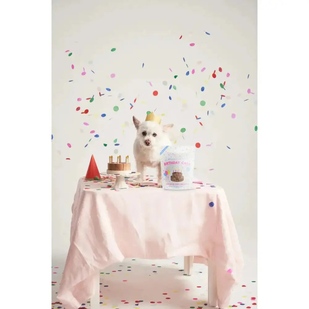 Bocce's Bakery Birthday Cake 5oz Biscuits Dog Treats - Talis Us