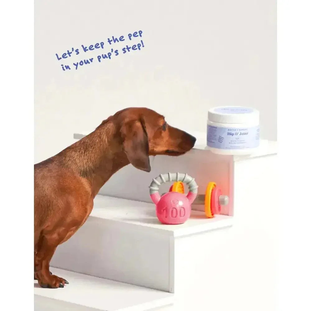 Bocce's Bakery Hip & Joint 60 Count Soft Chew Dog Supplements - Talis Us