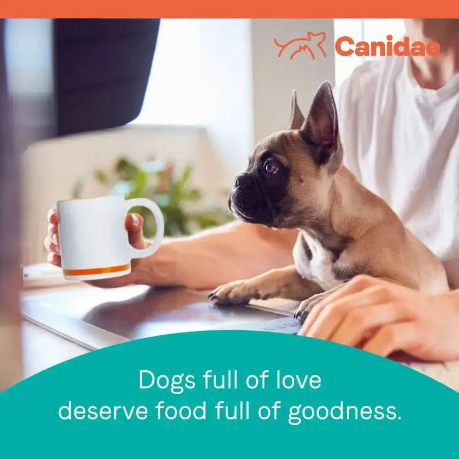 A person works at a laptop with a mug while a small brown dog paws at the keyboard. The text reads, Puppies full of love deserve CANIDAE PURE Grain-Free Puppy Real Chicken, Lentil & Whole Egg Recipe Dry Dog Food.