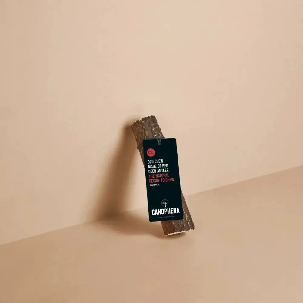 Canophera Whole Red Deer Antler Dog Chew - Talis Us