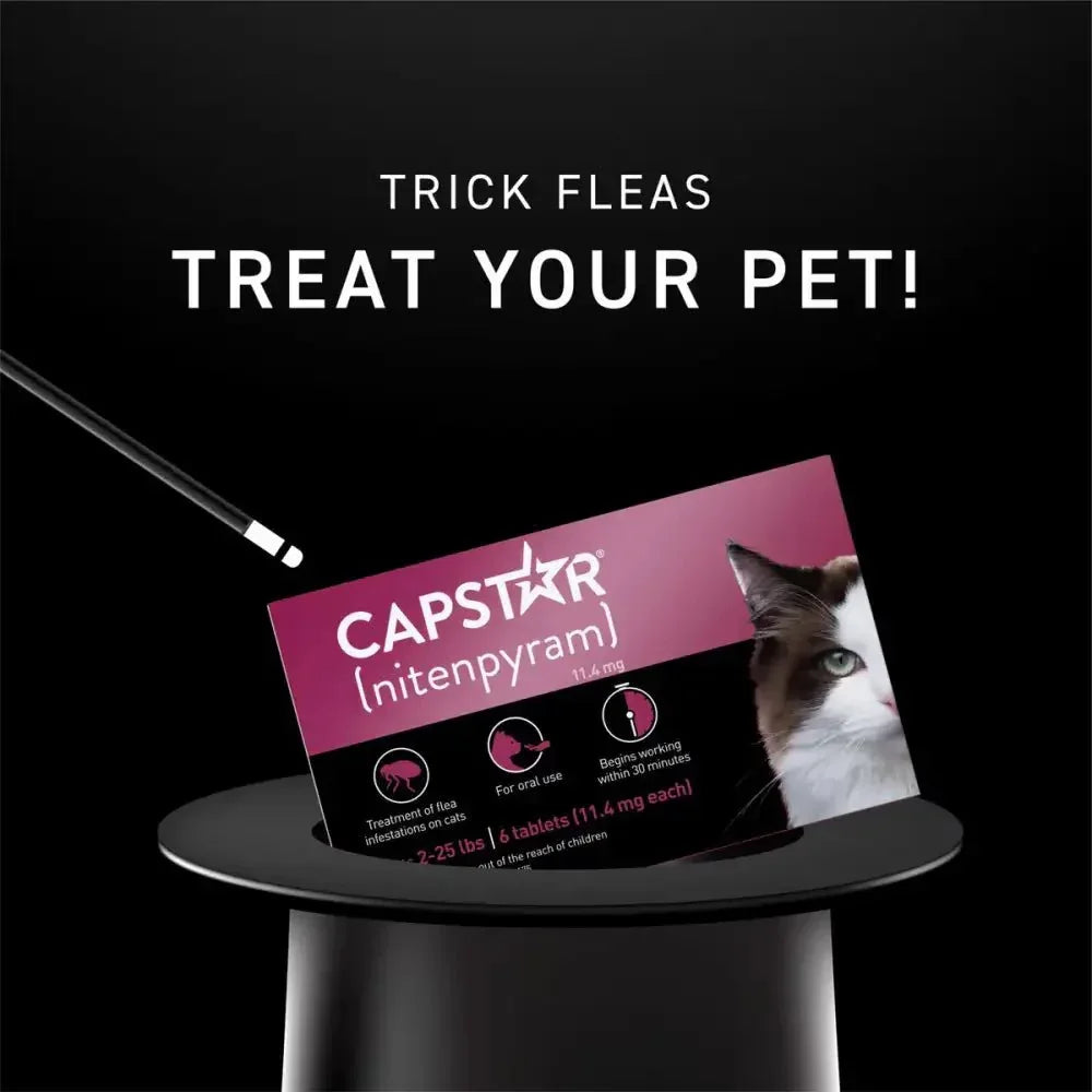 Capstar Cat Flea Tablets Without Prescription 11.4 Mg Each, 6 Tablets - Talis Us